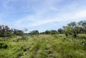 3270 County Rd 4131 (19)