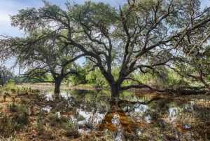 3270 County Rd 4131 (2)