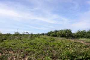 3270 County Rd 4131 (20)