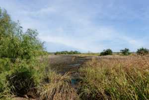 3270 County Rd 4131 (21)