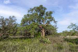 3270 County Rd 4131 (23)