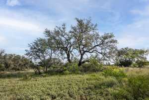 3270 County Rd 4131 (24)