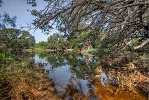3270 County Rd 4131 (25)