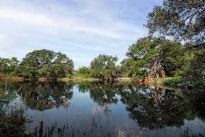 3270 County Rd 4131 (26)