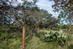 3270 County Rd 4131 (27)