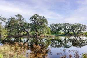 3270 County Rd 4131 (28)