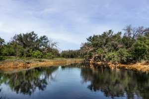 3270 County Rd 4131 (3)