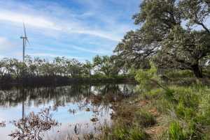 3270 County Rd 4131 (30)