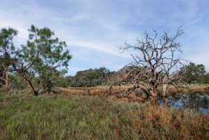 3270 County Rd 4131 (31)