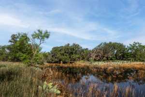 3270 County Rd 4131 (32)