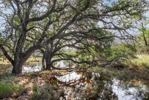 3270 County Rd 4131 (33)