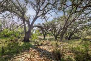 3270 County Rd 4131 (34)