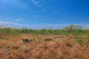 3270 County Rd 4131 (37)