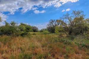 3270 County Rd 4131 (38)
