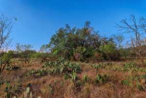 3270 County Rd 4131 (39)