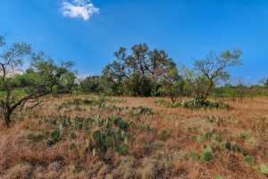 3270 County Rd 4131 (40)