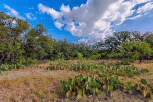 3270 County Rd 4131 (42)