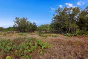 3270 County Rd 4131 (43)