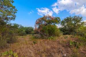 3270 County Rd 4131 (44)