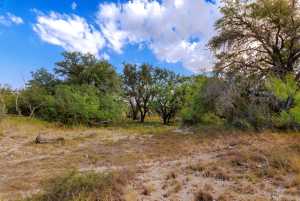 3270 County Rd 4131 (45)