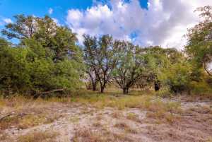 3270 County Rd 4131 (46)