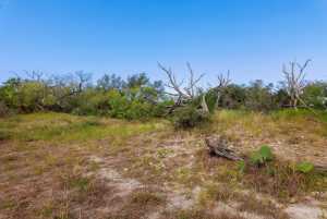 3270 County Rd 4131 (47)
