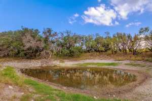 3270 County Rd 4131 (48)