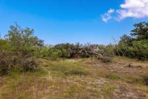 3270 County Rd 4131 (49)