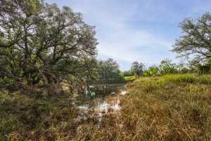 3270 County Rd 4131 (5)