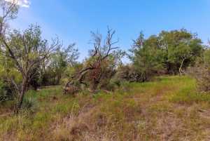 3270 County Rd 4131 (50)