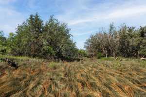 3270 County Rd 4131 (6)