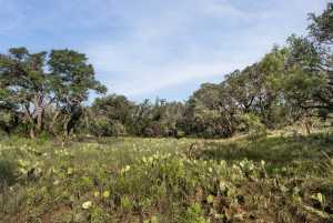 3270 County Rd 4131 (7)
