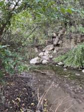 209 County Rd 310 (53)