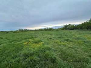 209 County Rd 310 (2)