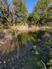 209 County Rd 310 (59)
