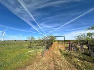 209 County Rd 310 (14)