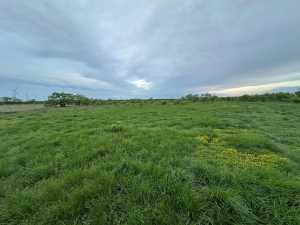 209 County Rd 310 (3)