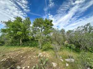 209 County Rd 310 (22)
