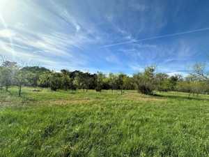 209 County Rd 310 (24)