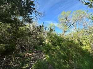 209 County Rd 310 (25)