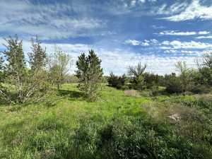 209 County Rd 310 (26)