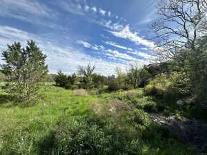 209 County Rd 310 (27)