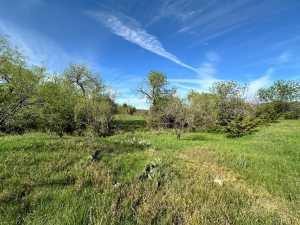 209 County Rd 310 (28)