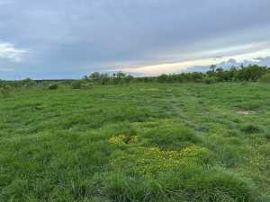 209 County Rd 310 (4)
