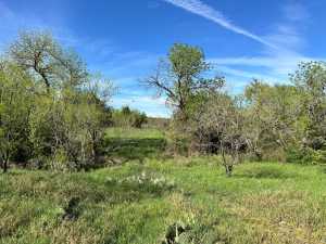209 County Rd 310 (29)