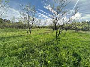 209 County Rd 310 (30)