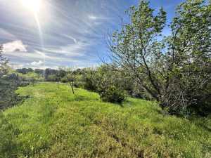 209 County Rd 310 (33)
