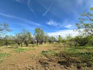 209 County Rd 310 (37)