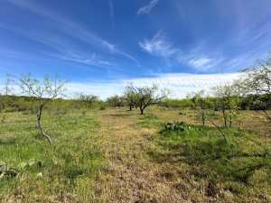209 County Rd 310 (38)
