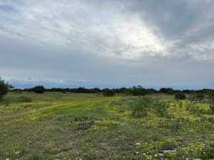 209 County Rd 310 (5)